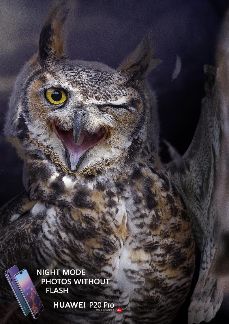 33.Huawei Instagram Eagle-Owl.[大嘴收纳屋].jpg